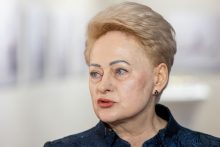 D. Grybauskaitė nekomentuoja prezidento rinkimų kampanijos: linkiu priimti tinkamus sprendimus