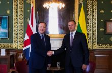 G. Landsbergis su D. Cameronu aptarė paramą Ukrainai, sankcijų Rusijai stiprinimą